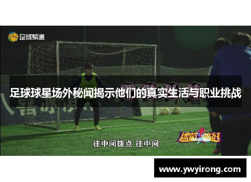 足球球星场外秘闻揭示他们的真实生活与职业挑战