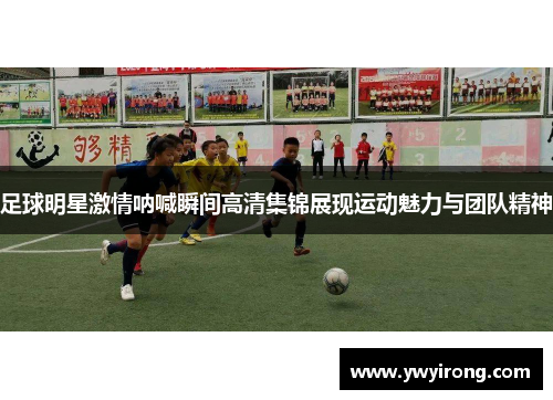 足球明星激情呐喊瞬间高清集锦展现运动魅力与团队精神