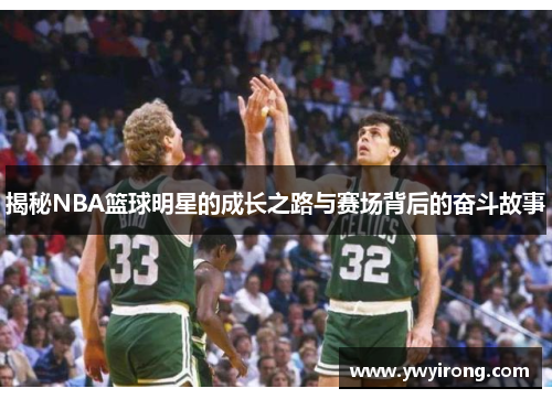 揭秘NBA篮球明星的成长之路与赛场背后的奋斗故事