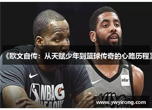 《欧文自传：从天赋少年到篮球传奇的心路历程》
